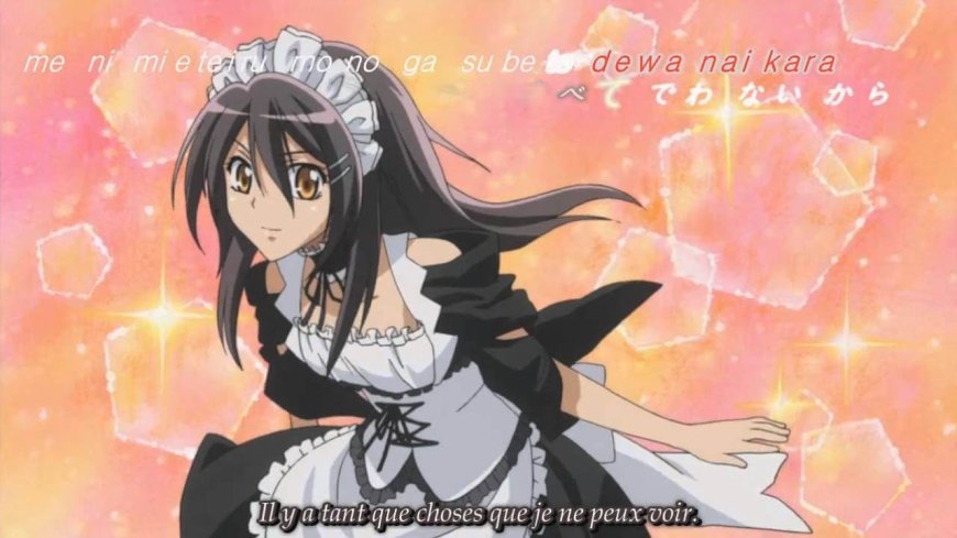 Maid Sama! (Kaichou wa Maid-sama!)