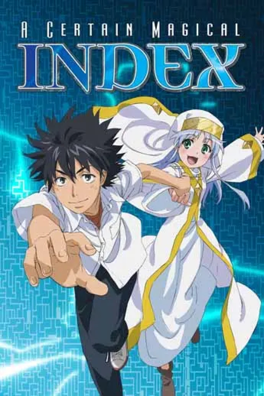 22. A Certain Magical Index (2008-2019)